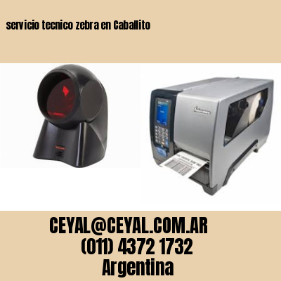servicio tecnico zebra en Caballito