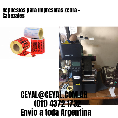 Repuestos para Impresoras Zebra – Cabezales