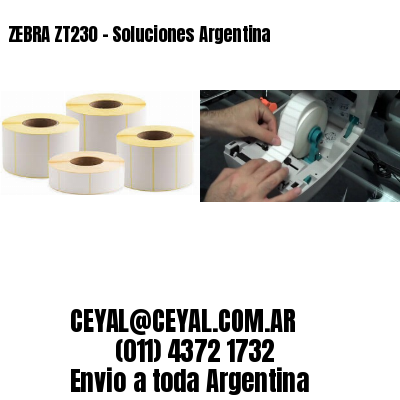 ZEBRA ZT230 – Soluciones Argentina