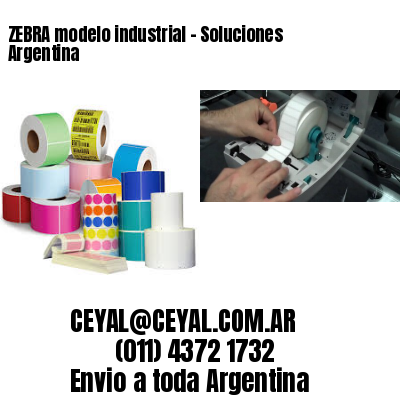 ZEBRA modelo industrial – Soluciones Argentina