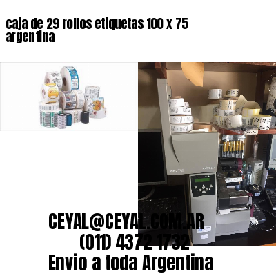 caja de 29 rollos etiquetas 100 x 75 argentina