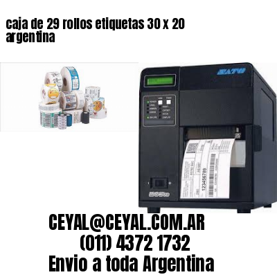 caja de 29 rollos etiquetas 30 x 20 argentina