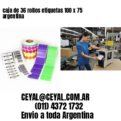 caja de 36 rollos etiquetas 100 x 75 argentina