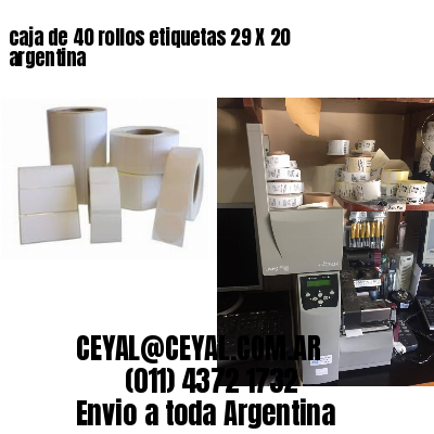 caja de 40 rollos etiquetas 29 X 20 argentina