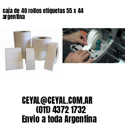 caja de 40 rollos etiquetas 55 x 44 argentina