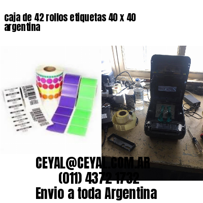 caja de 42 rollos etiquetas 40 x 40 argentina