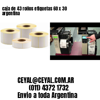 caja de 43 rollos etiquetas 60 x 30 argentina