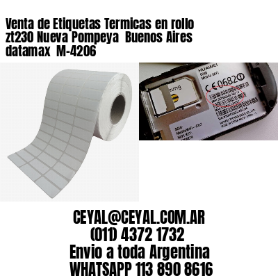 Venta de Etiquetas Termicas en rollo zt230 Nueva Pompeya  Buenos Aires datamax  M-4206