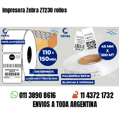 Impresora Zebra ZT230 rollos