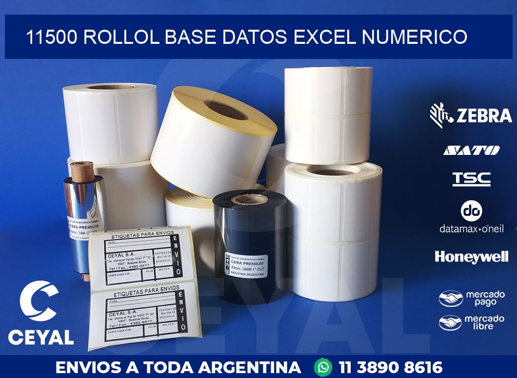 11500 rollol base datos excel numerico