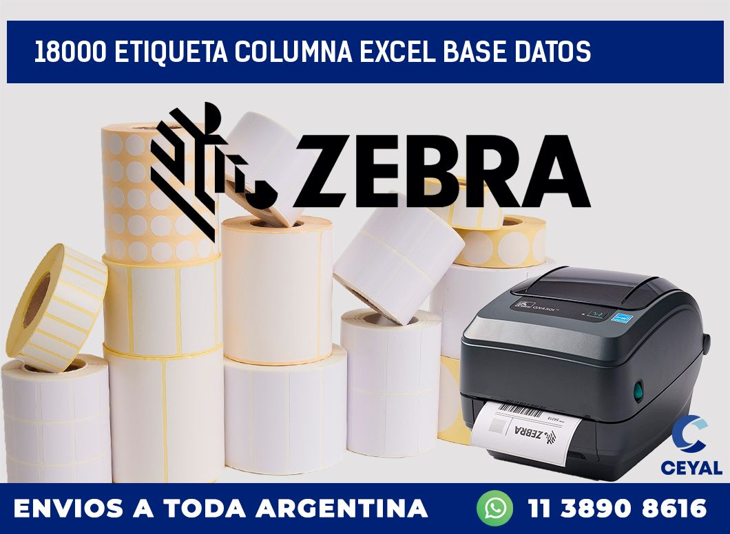 18000 etiqueta columna excel base datos