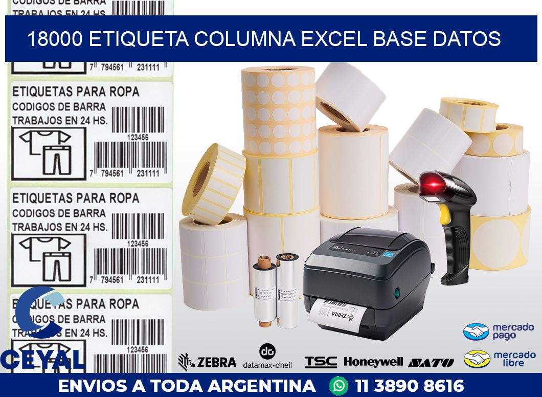 18000 etiqueta columna excel base datos