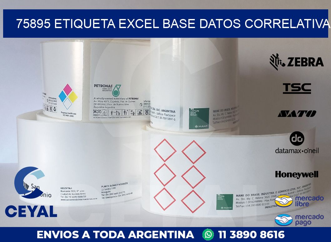 75895 etiqueta excel base datos correlativa