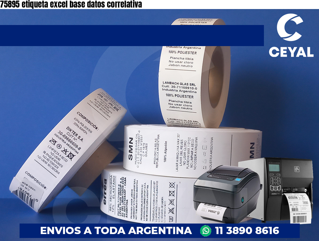 75895 etiqueta excel base datos correlativa