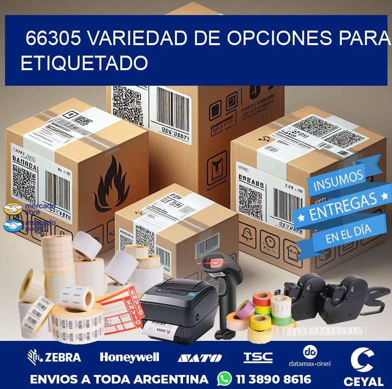 66305 VARIEDAD DE OPCIONES PARA ETIQUETADO