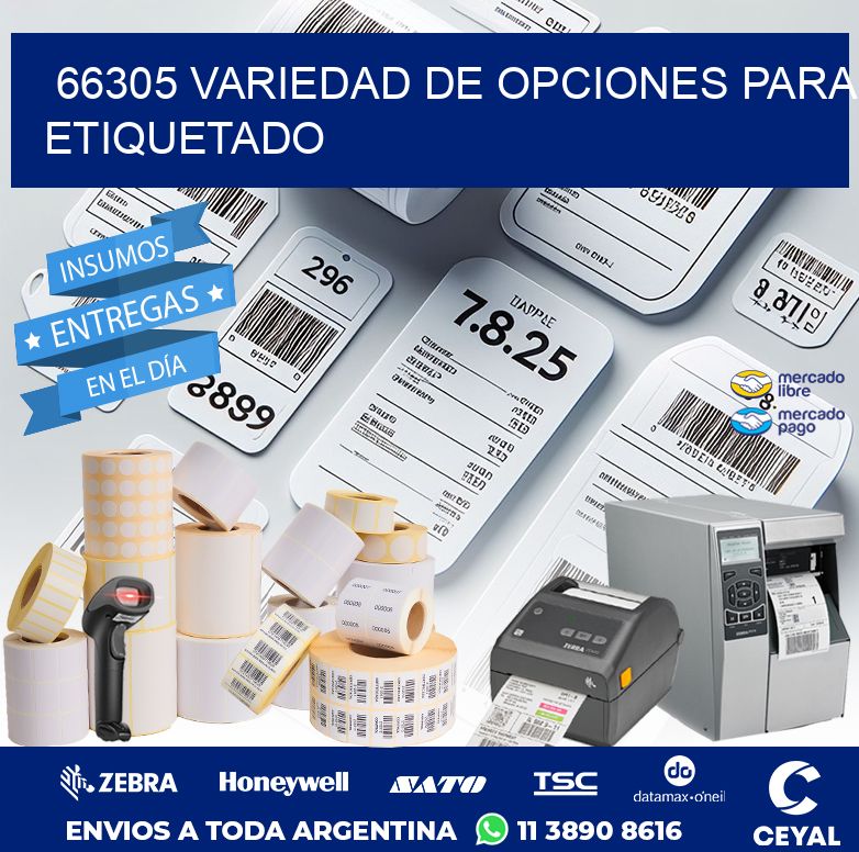 66305 VARIEDAD DE OPCIONES PARA ETIQUETADO