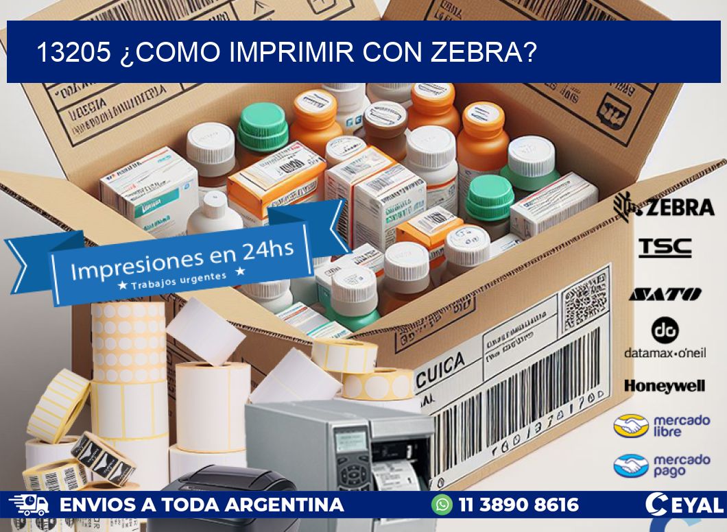13205 ¿COMO IMPRIMIR CON ZEBRA?
