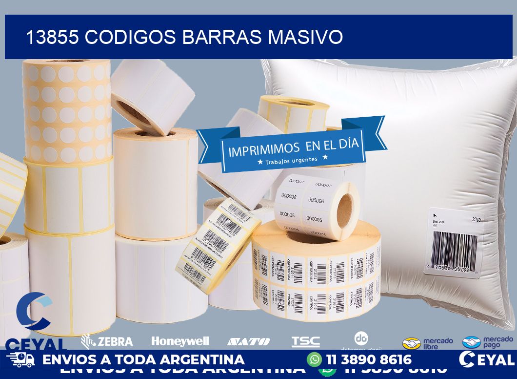 13855 CODIGOS BARRAS MASIVO