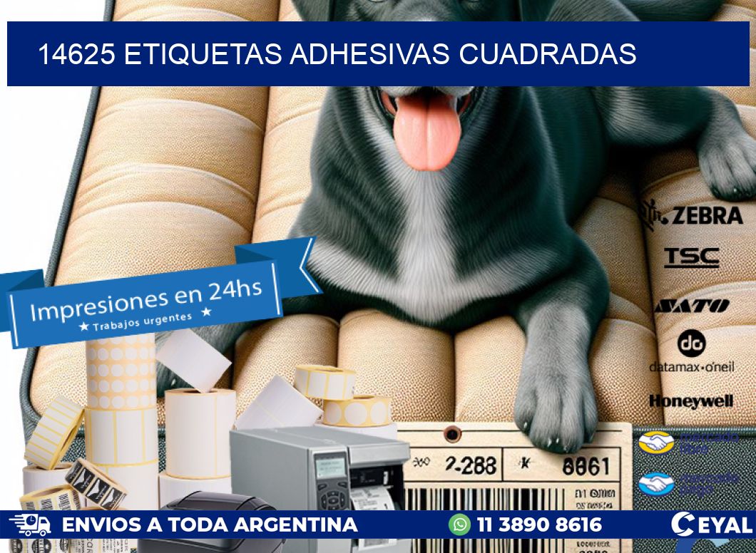 14625 ETIQUETAS ADHESIVAS CUADRADAS