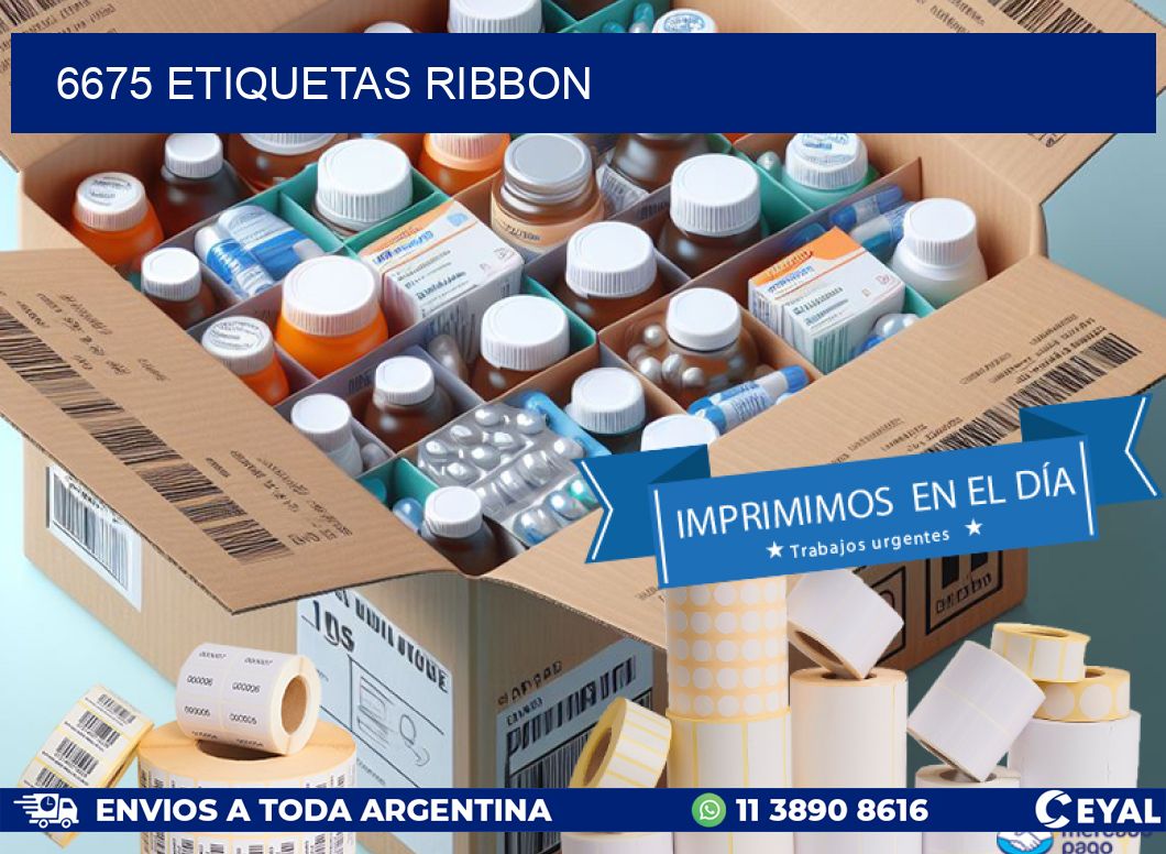 6675 ETIQUETAS RIBBON