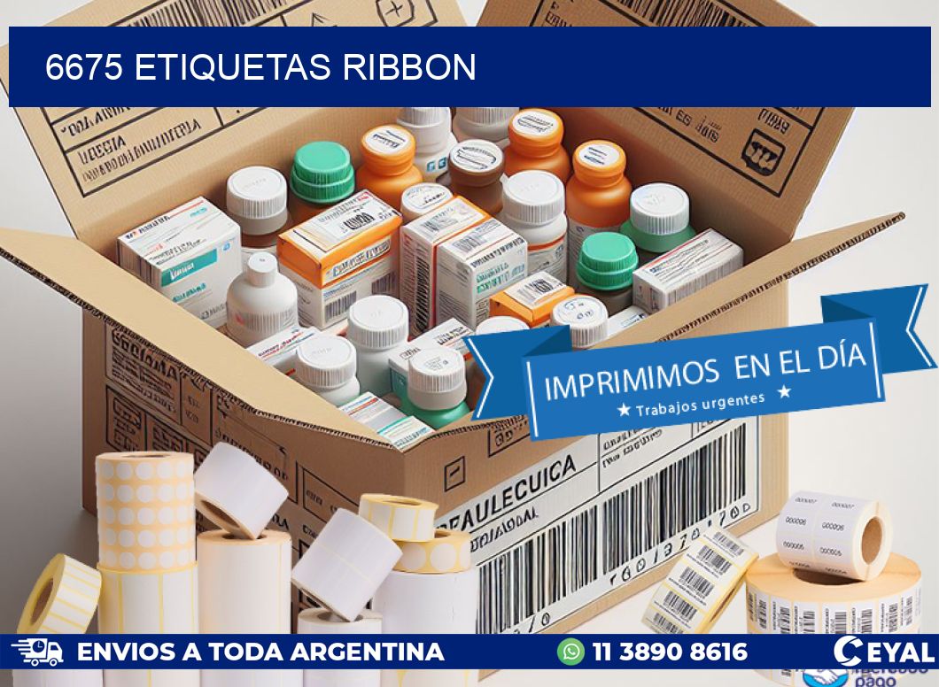 6675 ETIQUETAS RIBBON