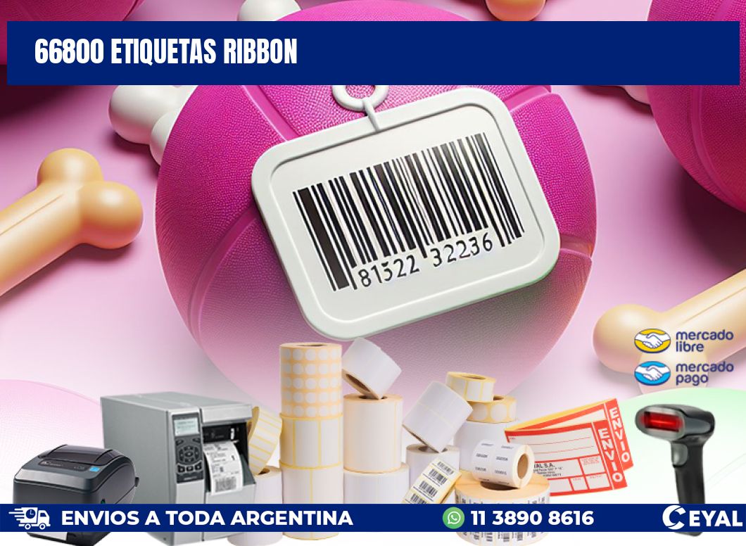 66800 ETIQUETAS RIBBON