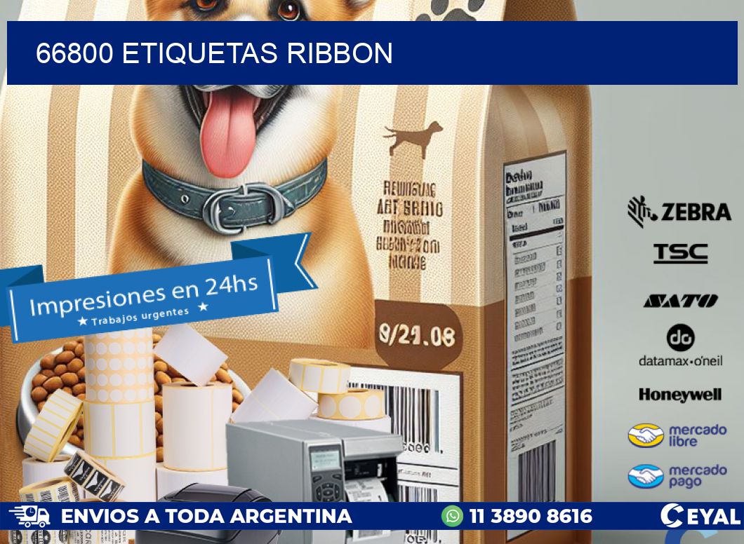66800 ETIQUETAS RIBBON