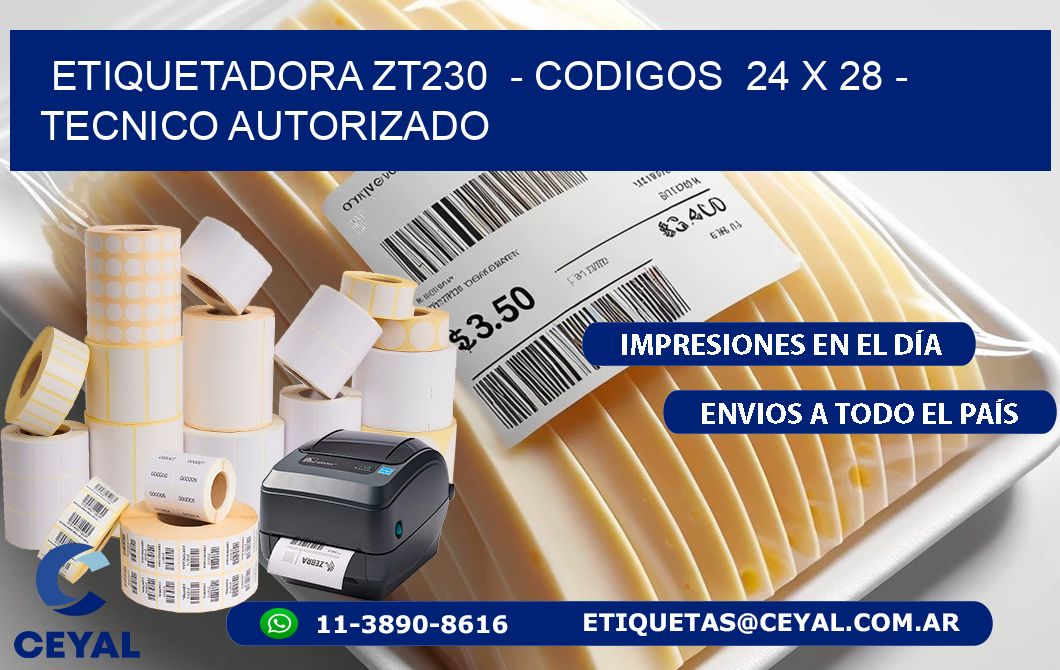 ETIQUETADORA ZT230  - CODIGOS  24 x 28 - TECNICO AUTORIZADO