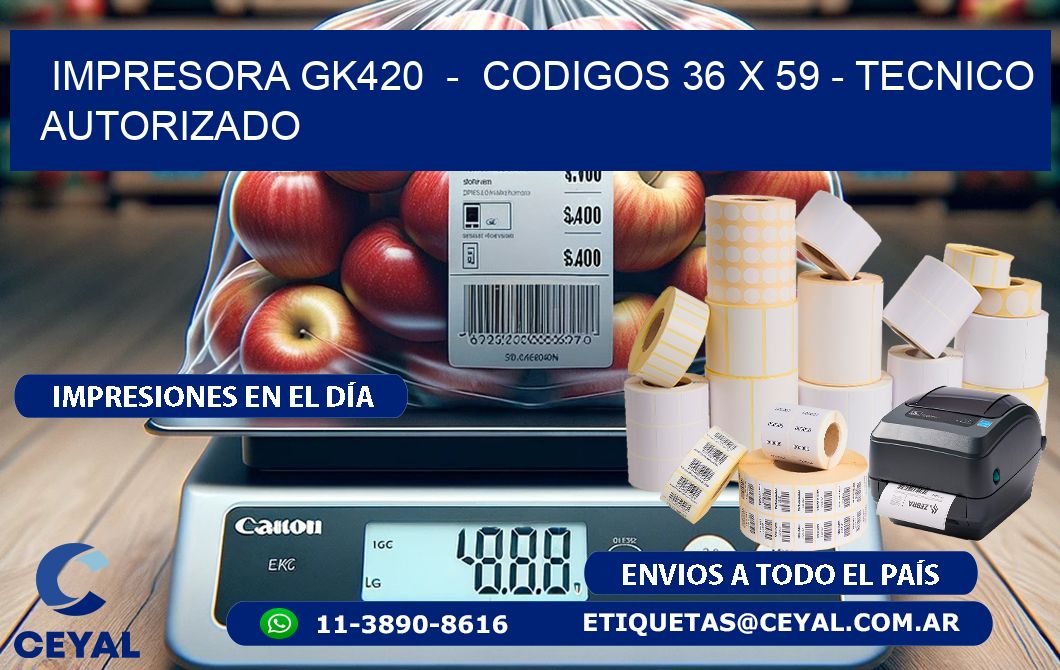 IMPRESORA GK420 - CODIGOS 36 x 59 - TECNICO AUTORIZADO