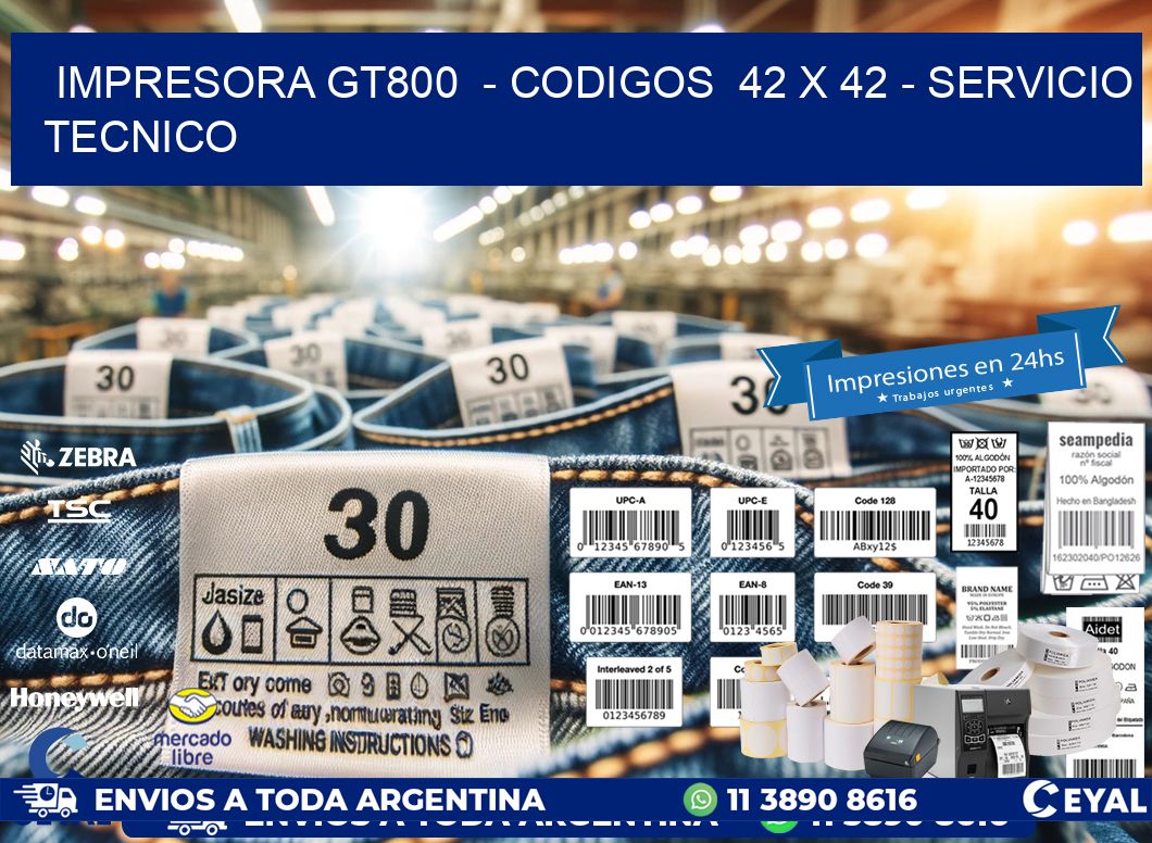 IMPRESORA GT800  - CODIGOS  42 x 42 - SERVICIO TECNICO