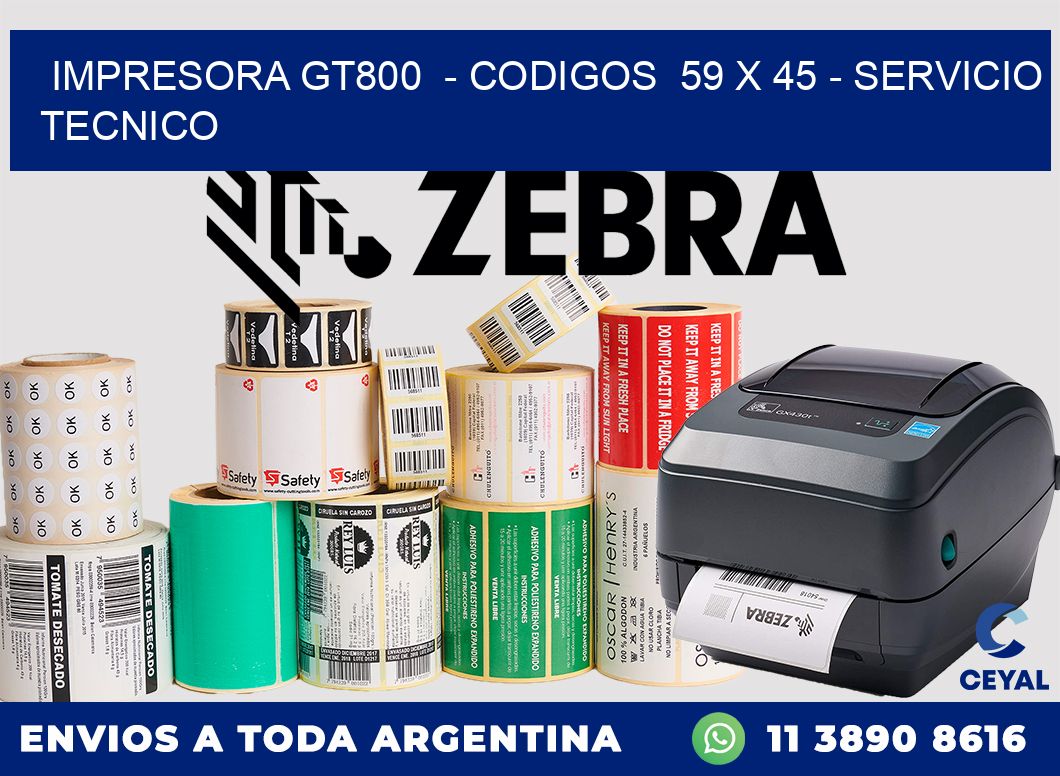 IMPRESORA GT800  - CODIGOS  59 x 45 - SERVICIO TECNICO