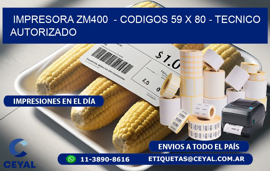 IMPRESORA ZM400  - CODIGOS 59 x 80 - TECNICO AUTORIZADO