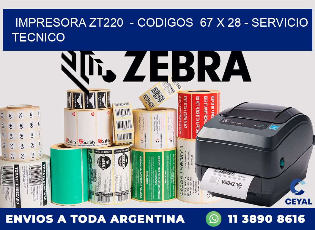 IMPRESORA ZT220  - CODIGOS  67 x 28 - SERVICIO TECNICO