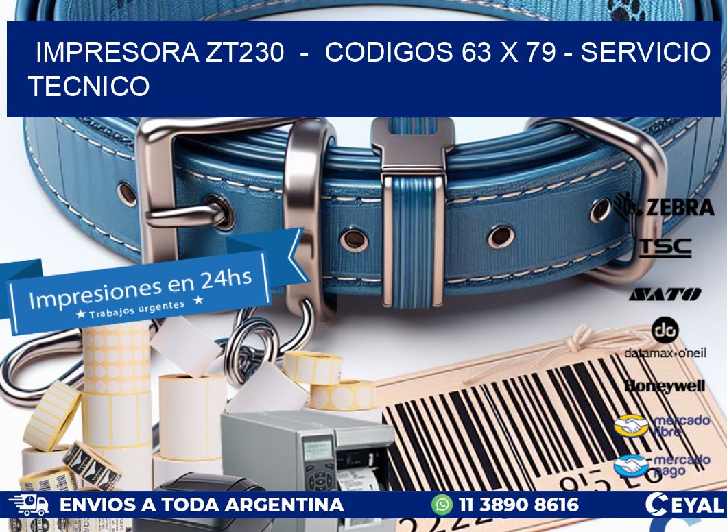IMPRESORA ZT230 - CODIGOS 63 x 79 - SERVICIO TECNICO