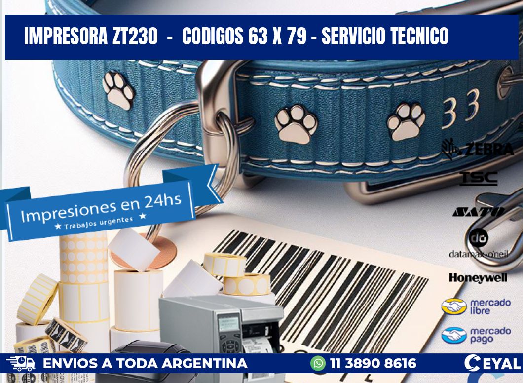 IMPRESORA ZT230 - CODIGOS 63 x 79 - SERVICIO TECNICO