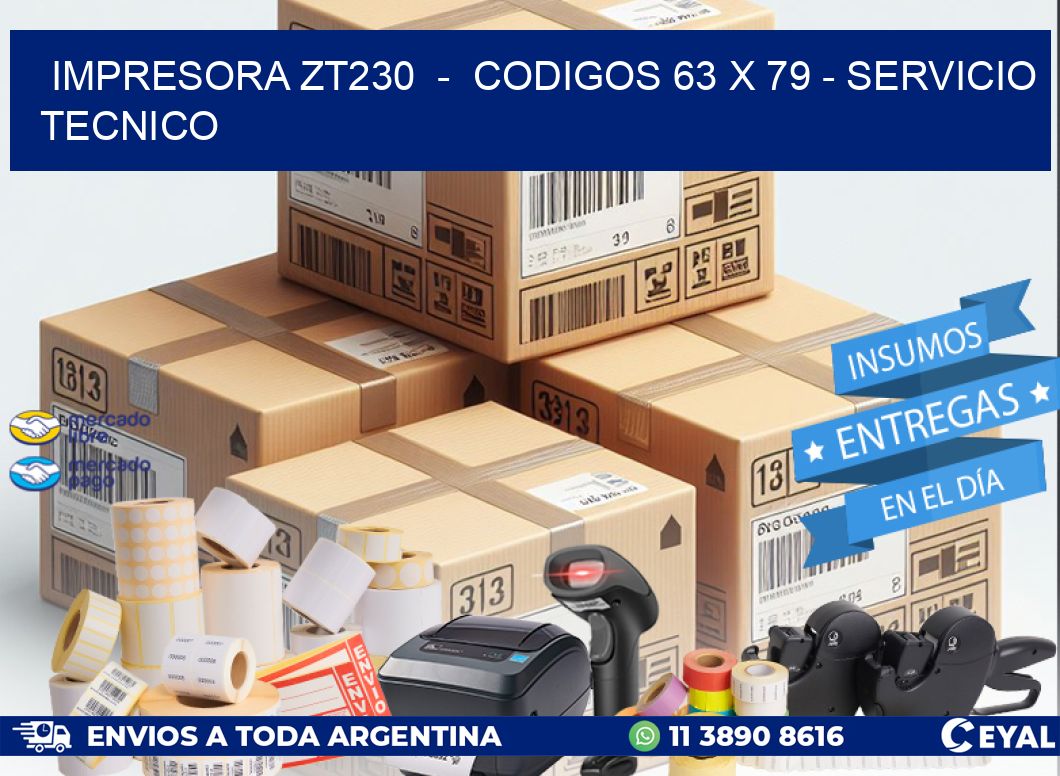 IMPRESORA ZT230 - CODIGOS 63 x 79 - SERVICIO TECNICO