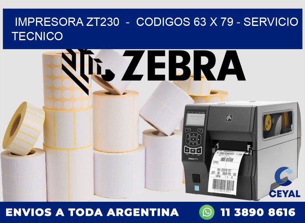 IMPRESORA ZT230 - CODIGOS 63 x 79 - SERVICIO TECNICO