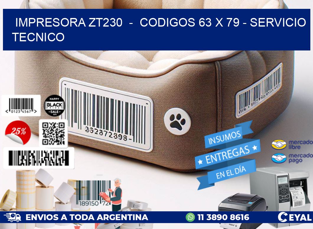 IMPRESORA ZT230  –  CODIGOS 63 x 79 – SERVICIO TECNICO
