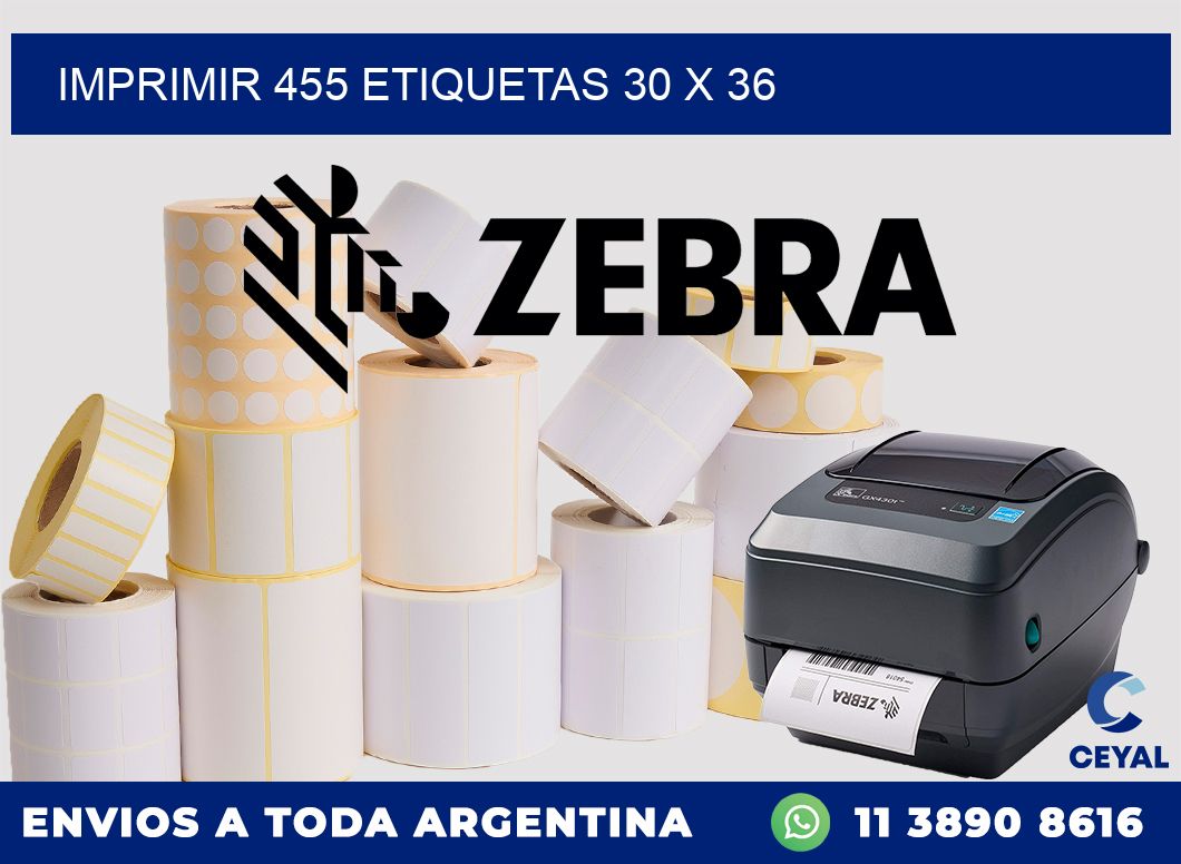 IMPRIMIR 455 ETIQUETAS 30 x 36