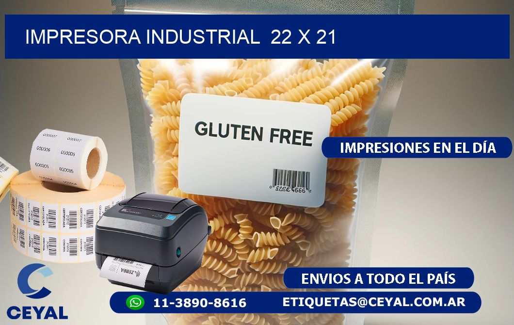 impresora industrial 22 x 21