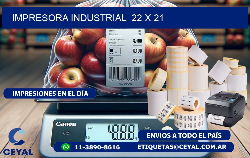 impresora industrial 22 x 21