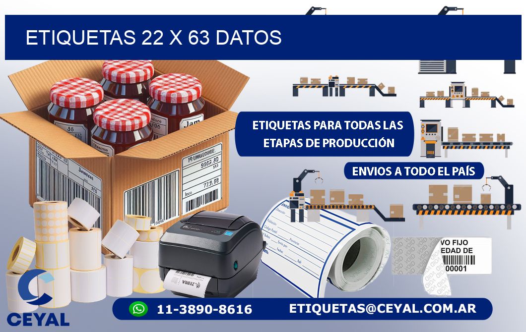 ETIQUETAS 22 x 63 DATOS