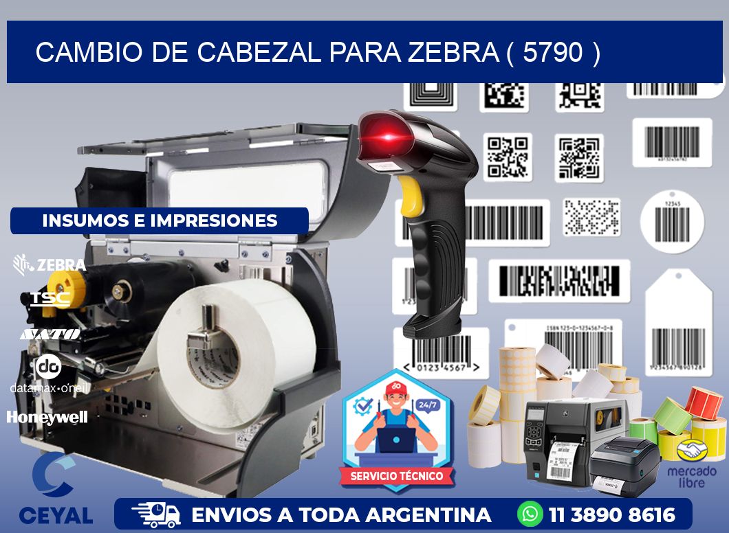 CAMBIO DE CABEZAL PARA ZEBRA ( 5790 )