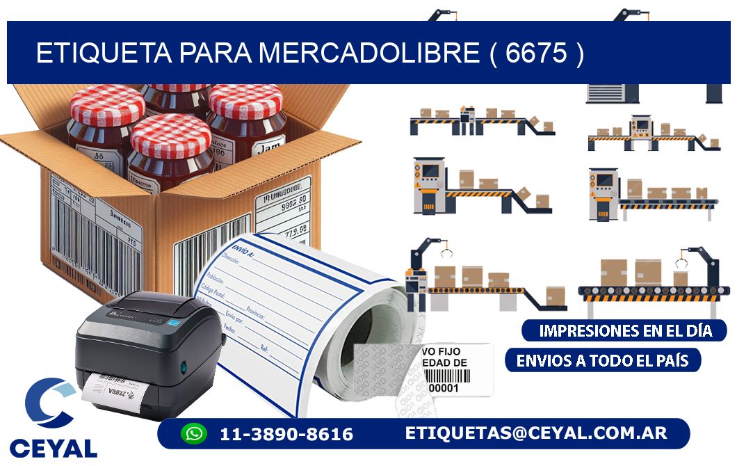 ETIQUETA PARA MERCADOLIBRE ( 6675 )