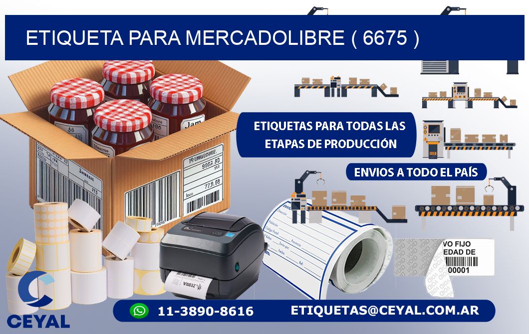 ETIQUETA PARA MERCADOLIBRE ( 6675 )