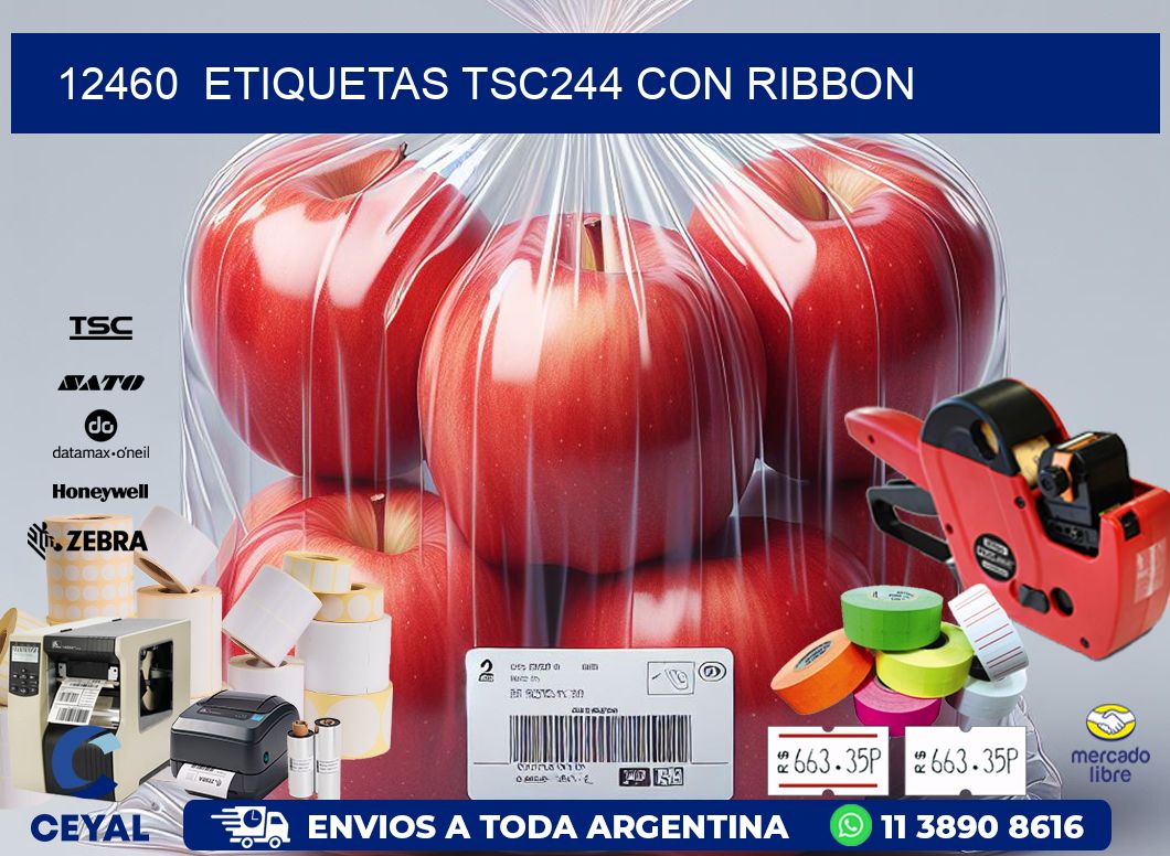 12460  ETIQUETAS TSC244 CON RIBBON