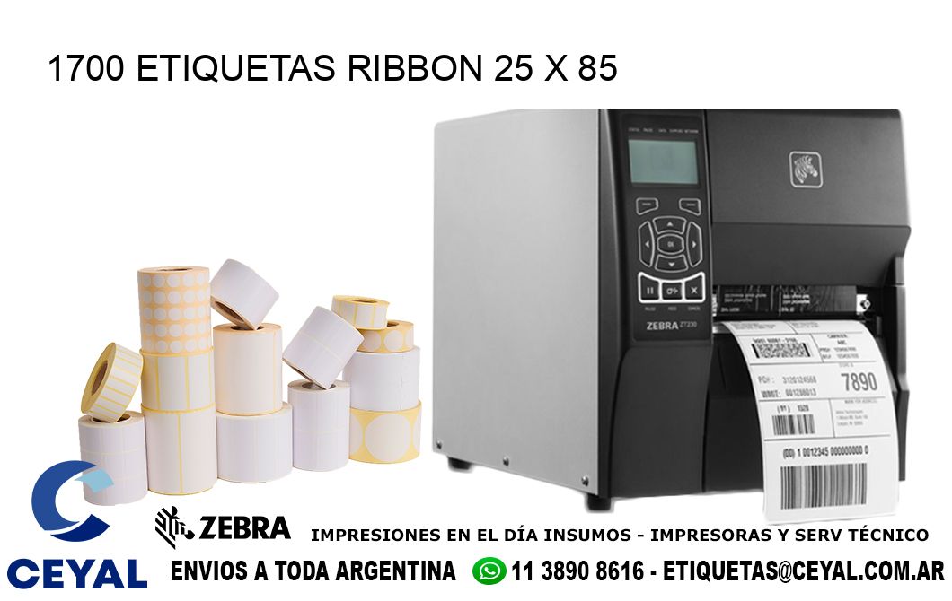 1700 ETIQUETAS RIBBON 25 x 85