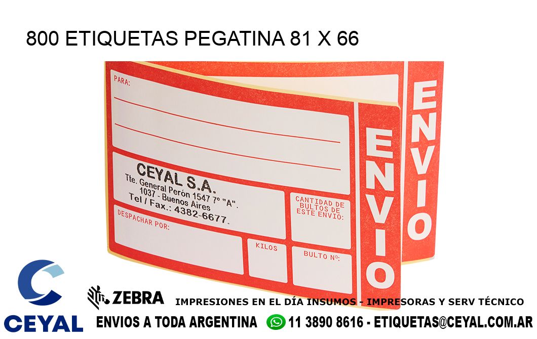 800 ETIQUETAS PEGATINA 81 x 66
