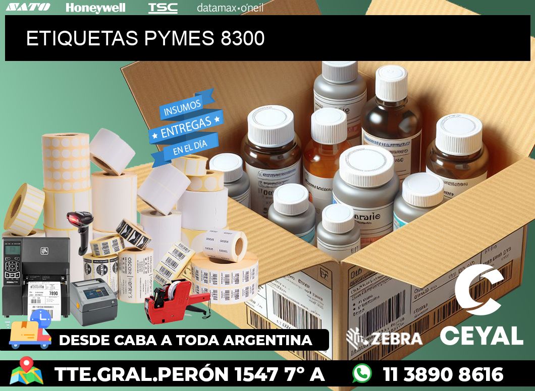ETIQUETAS PYMES 8300