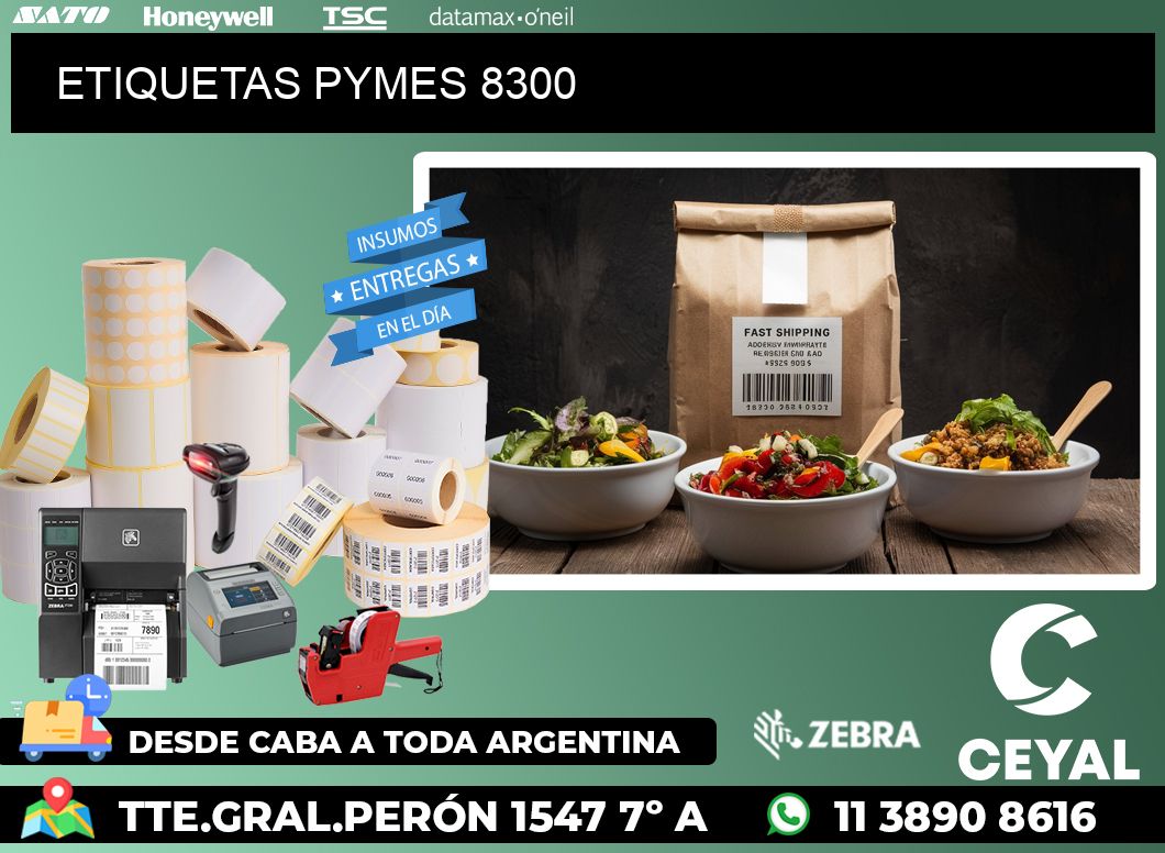 ETIQUETAS PYMES 8300